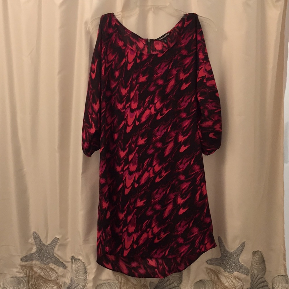Express Dress - Picture 3 of 3